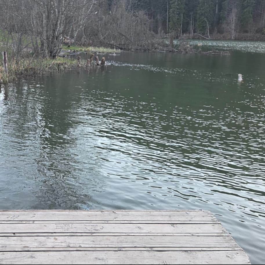 Lacul Rosu