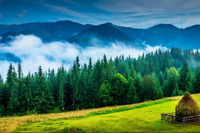 Excursie la Manastirile din Bucovina -0