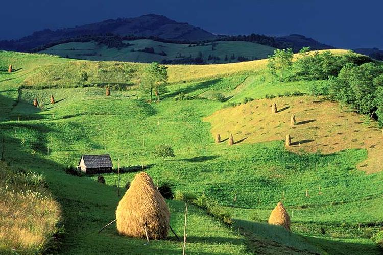 Pelerinaj Maramures- Bistrita 06.10.2024-1