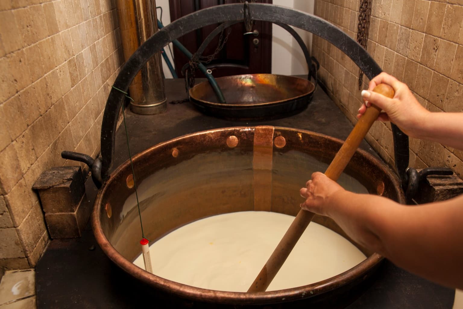 Tinutul Calimanilor-fabrica de branzeturi 1