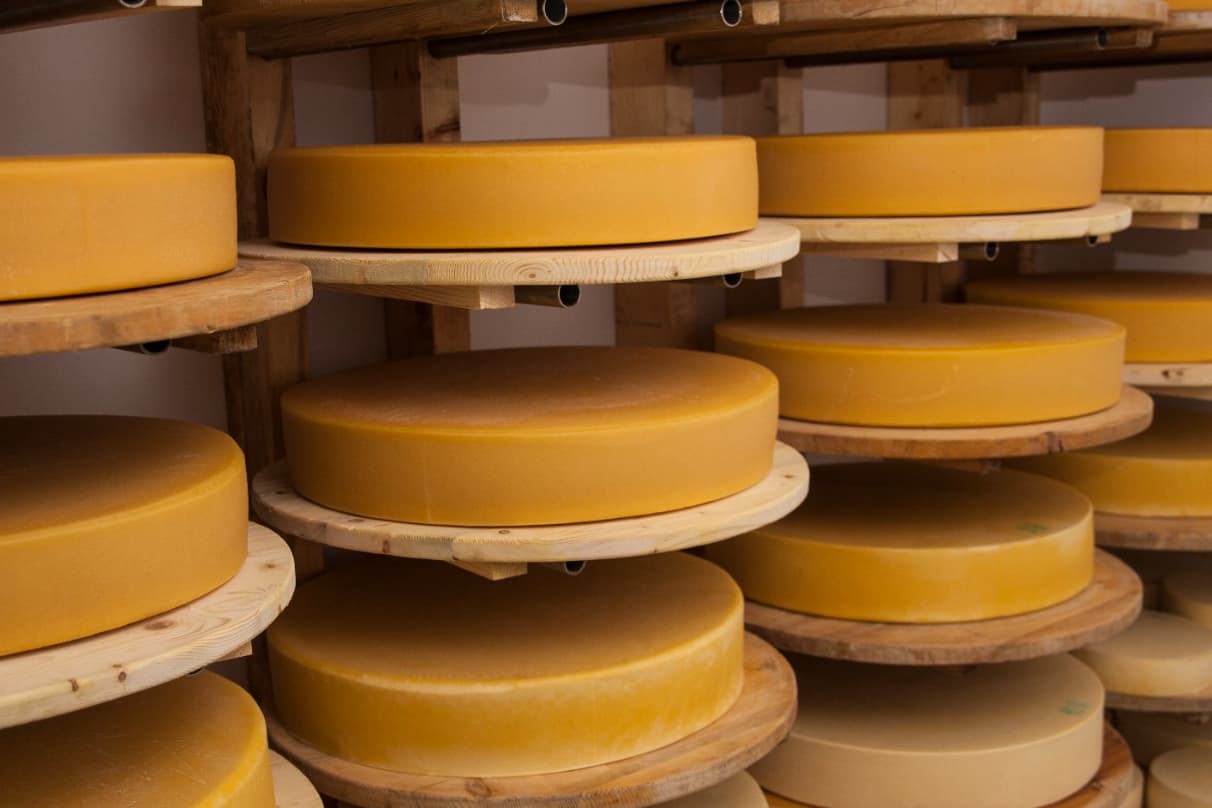 Tinutul Calimanilor-fabrica de branzeturi 3