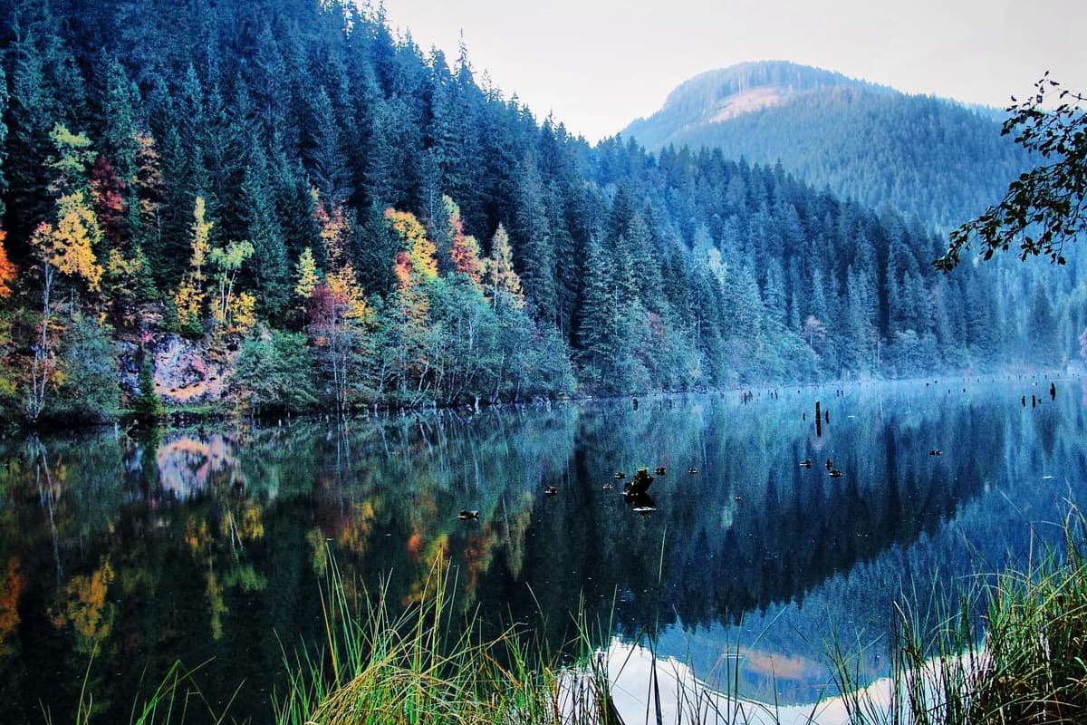 Excursie de o zi la Mănăstiri, Lacul Roșu și Cheile Bicazului din Vatra Dornei-2