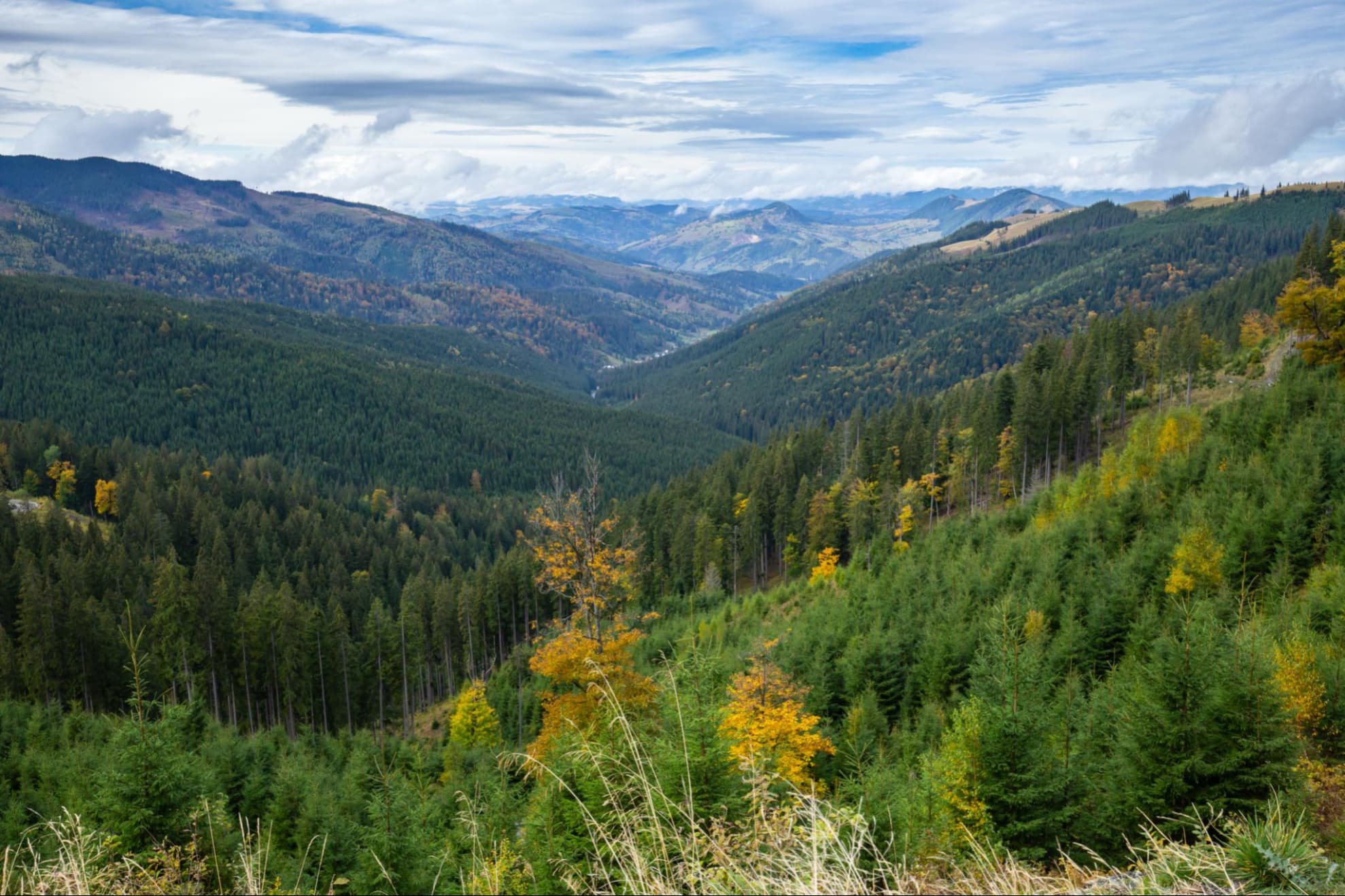 O după-amiază relaxantă pe Rarău – cu Panoramic Bus-4