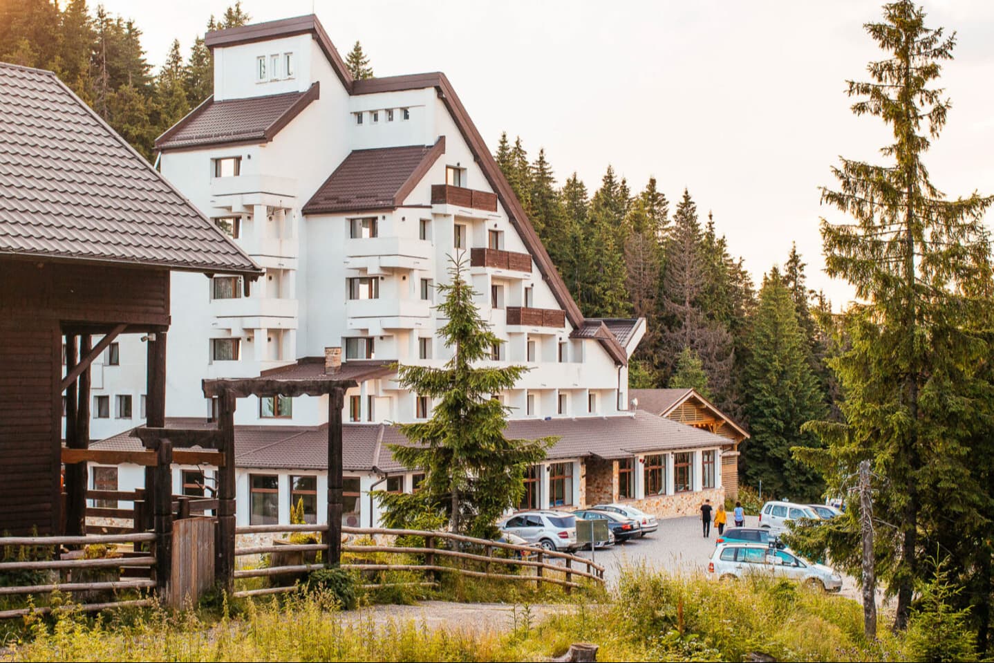 Tersa Alpin Rarău 1