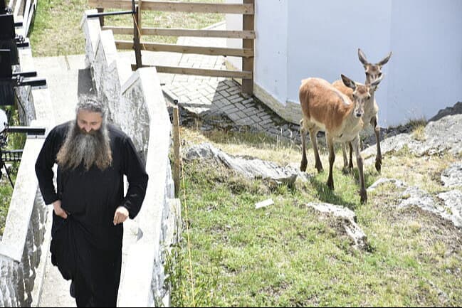 Mănăstirea Piatra Tăieturii – apus cu Panoramic Bus-4