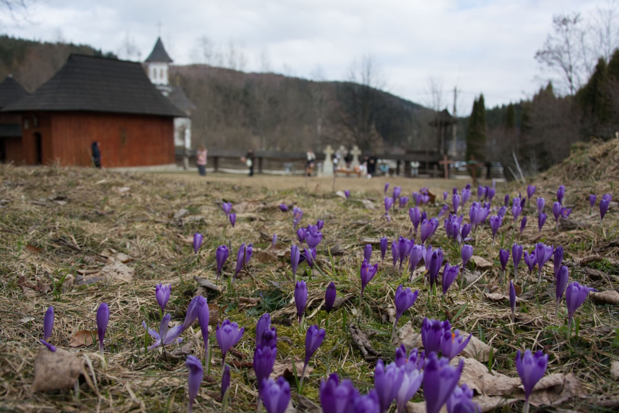 Sărbătoarea Sfinților Sila, Paisie și Natan de la Sihăstria Putnei-2