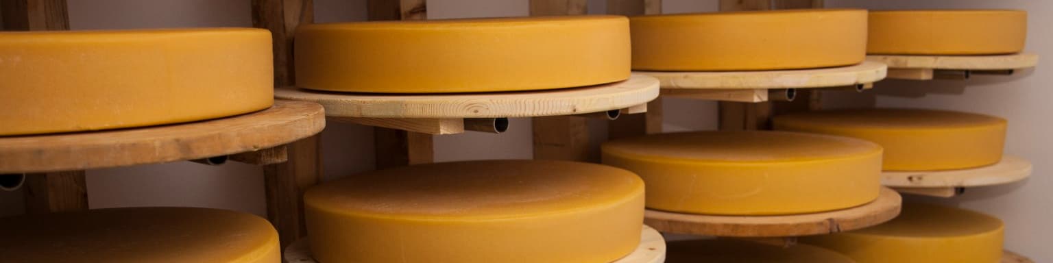 Tinutul Calimanilor-fabrica de branzeturi