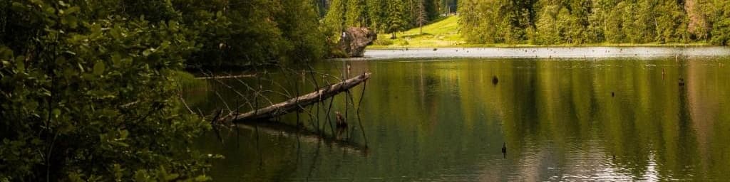 Excursie de o zi la Mănăstiri, Lacul Roșu și Cheile Bicazului din Vatra Dornei