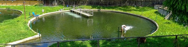 Hanul Păstrăvarului