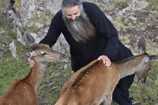 Mănăstirea Piatra Tăieturii – apus cu Panoramic Bus