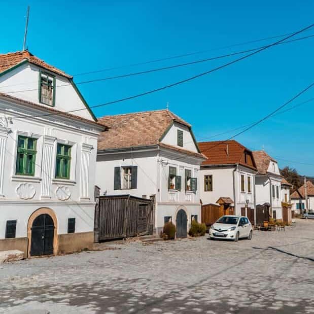 Ziua 3