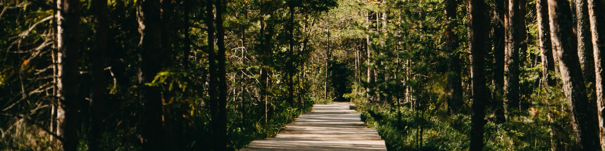 Natură, wellness și tradiția gustului local